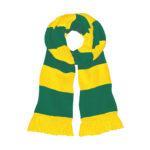 Norwich City F.C  bar scarf