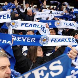 Fan Scarves
