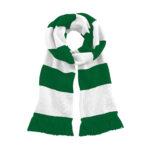 Plymouth Argyle F.C bar scarf