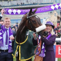 Horse Racing Scarves