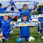 Grassroots Football Scarves