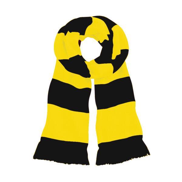 yellow_black_x300_2_1_1